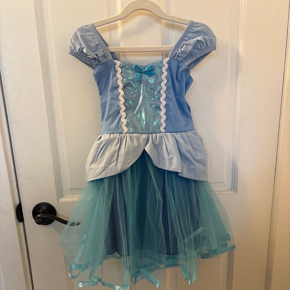 Cinderella dress costume